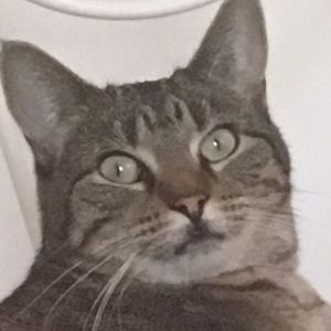 Meet your Posher, Shaelen