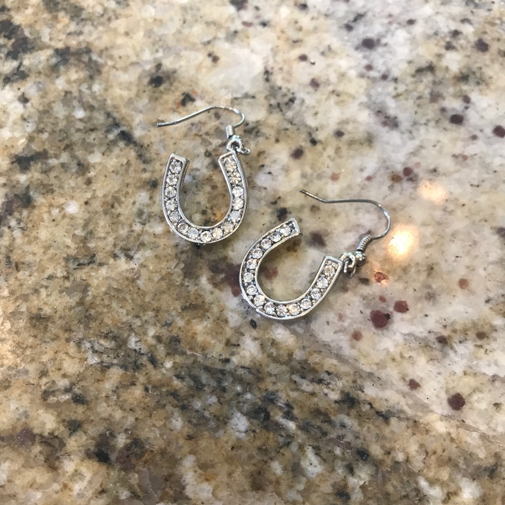 Horseshoe Earrings