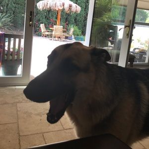 Meet your Posher, Maryann