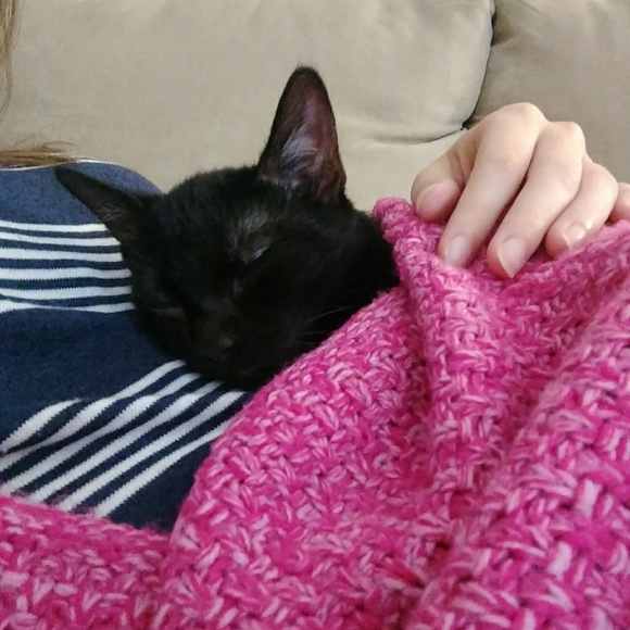 Meet your Posher, Emily - Picture 2 of 4