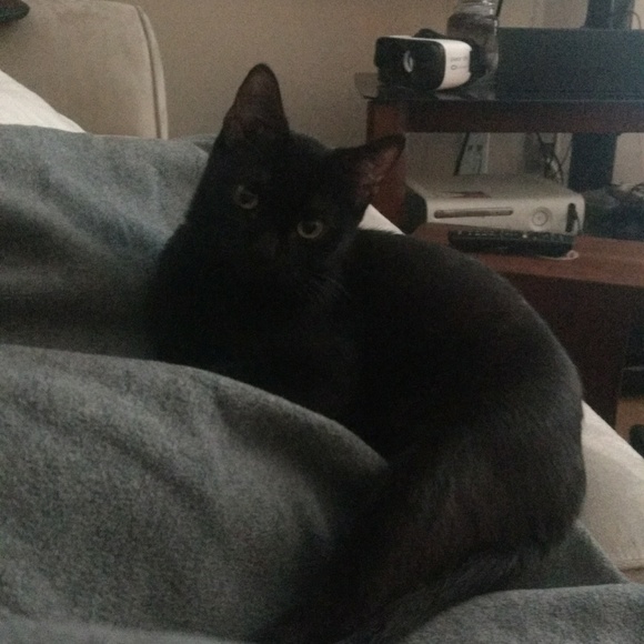 Meet your Posher, Emily - Picture 3 of 4