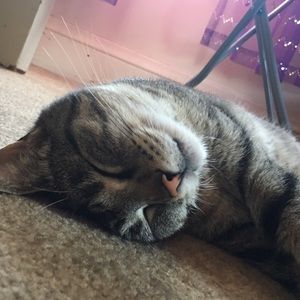 Meet your Posher, Shaelen