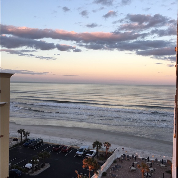 Meet your Posher, Miranda - Picture 1 of 1