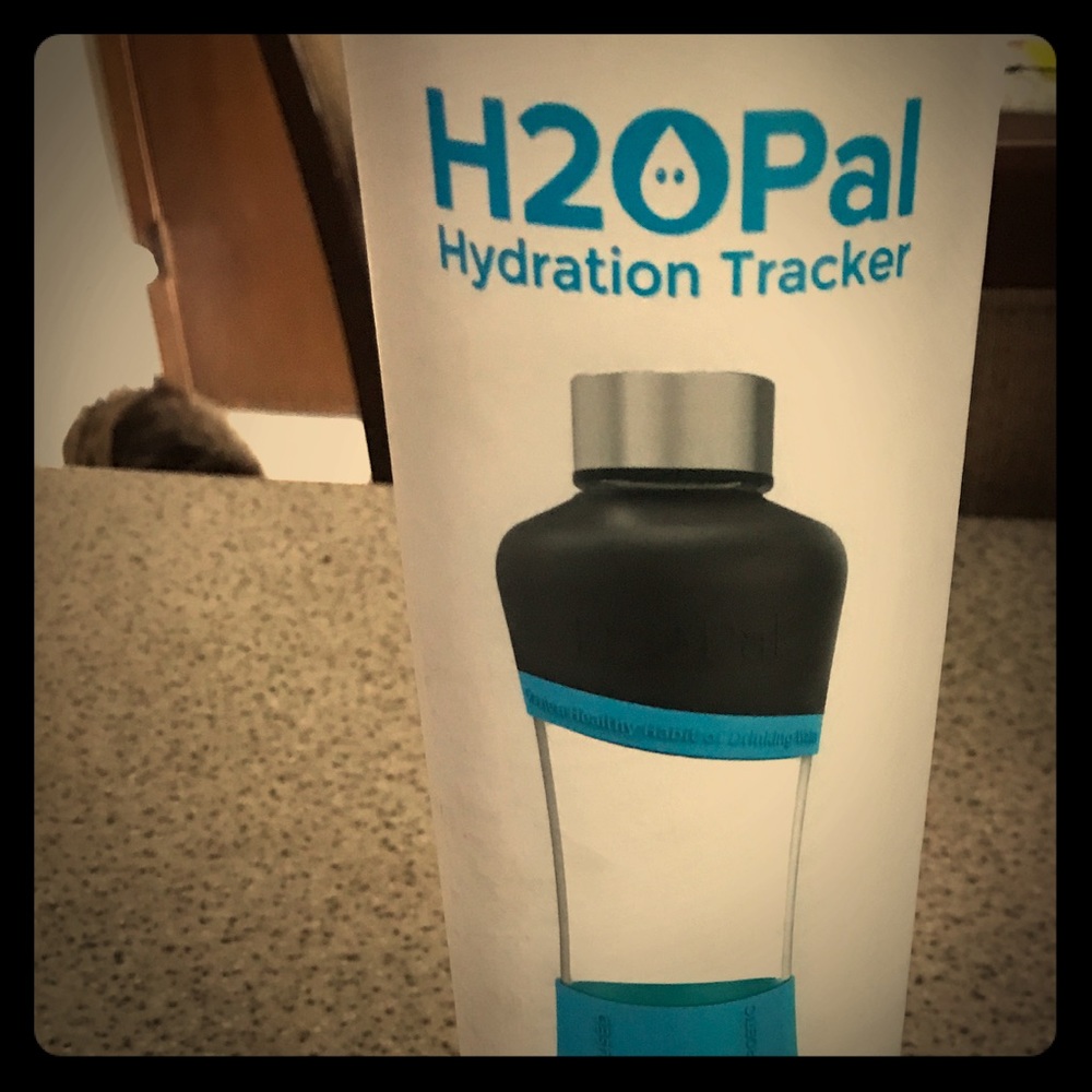 H2OPal