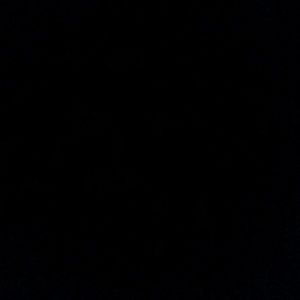 Meet your Posher, Tyrese