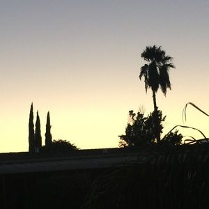 Meet your Posher, Martin