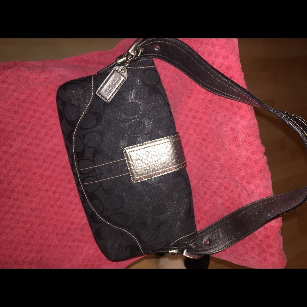Coach bag small