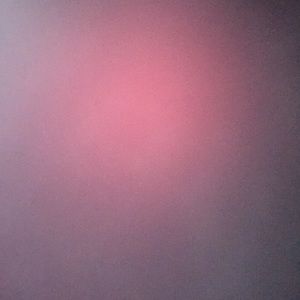 Meet your Posher, Payton