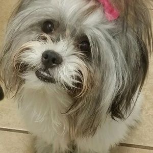 Meet your Posher, Benicia