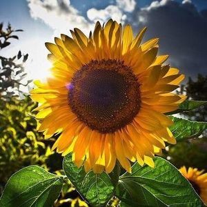 Meet your Posher, Betsy