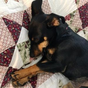 Meet your Posher, Megan