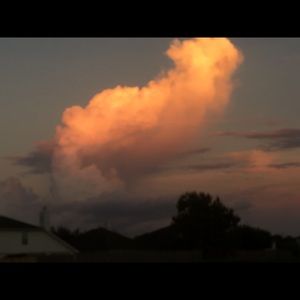 Meet your Posher, Elias