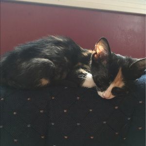 Meet your Posher, Gabrielle