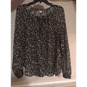 Long Sleeve Sheer Blouse