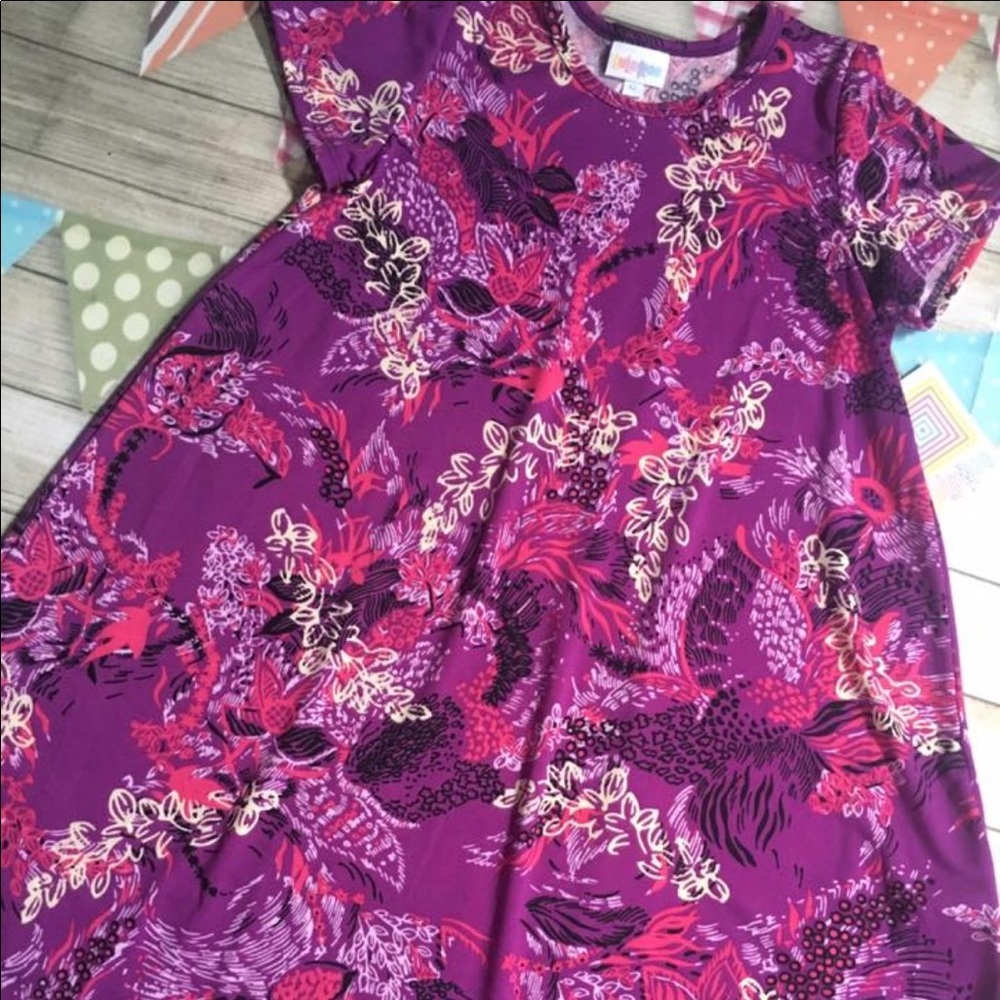 LuLaRoe Scarlett Sz 2 NWT