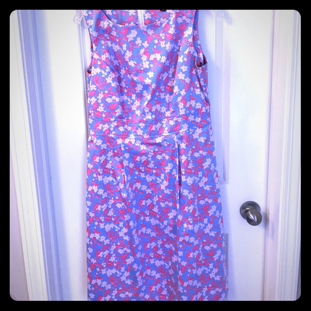 Pink and blue Brooks Brothers Dress