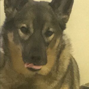 Meet your Posher, Alan