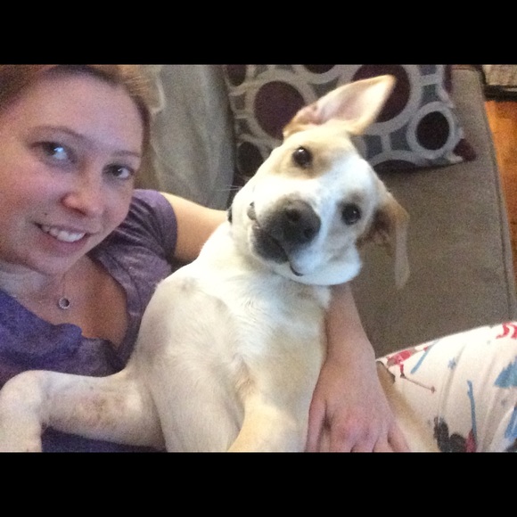 Meet your Posher, Stella - Picture 5 of 5