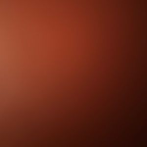 Meet your Posher, Precious