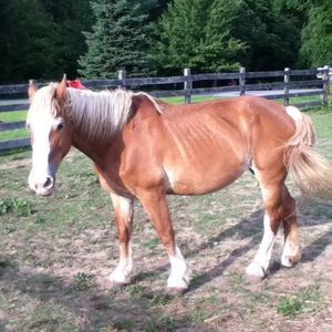 Meet your Posher, Emily