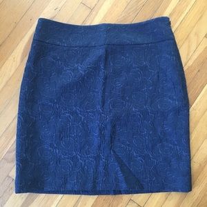 Ann Taylor Skirt