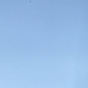 Meet your Posher, Collin