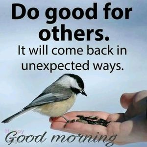 Meet your Posher, Victor