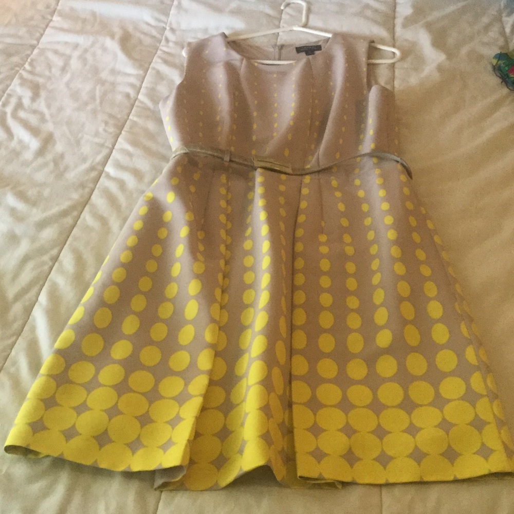 Tahari Arthur S. Levine gradient dot dress 14