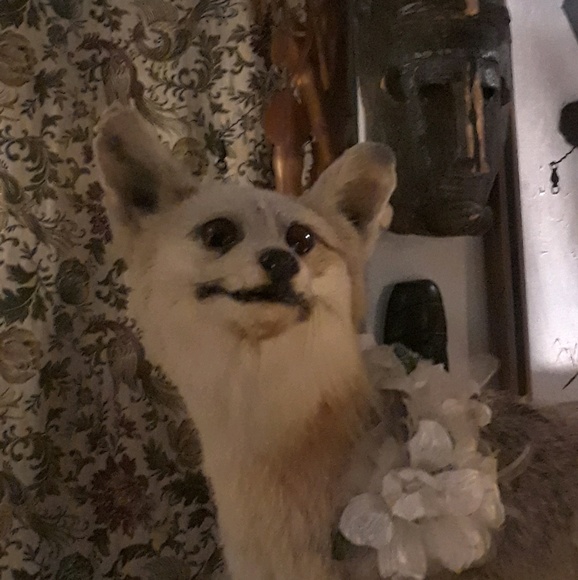 Meet your Posher, Rachel - Picture 1 of 1