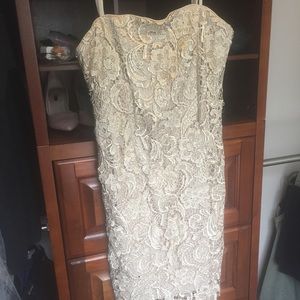 Cache Lace Cocktail Dress