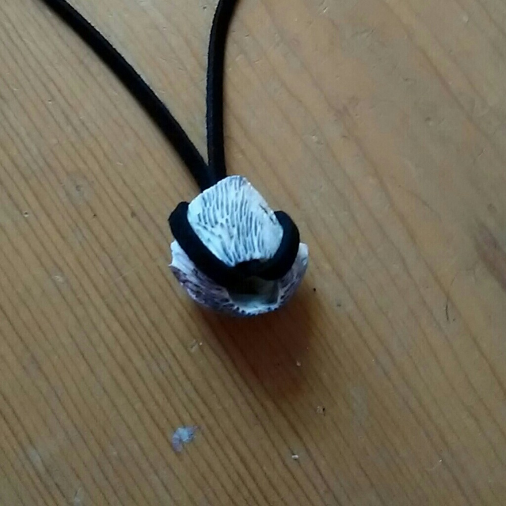 Shell necklace - Picture 2 of 3