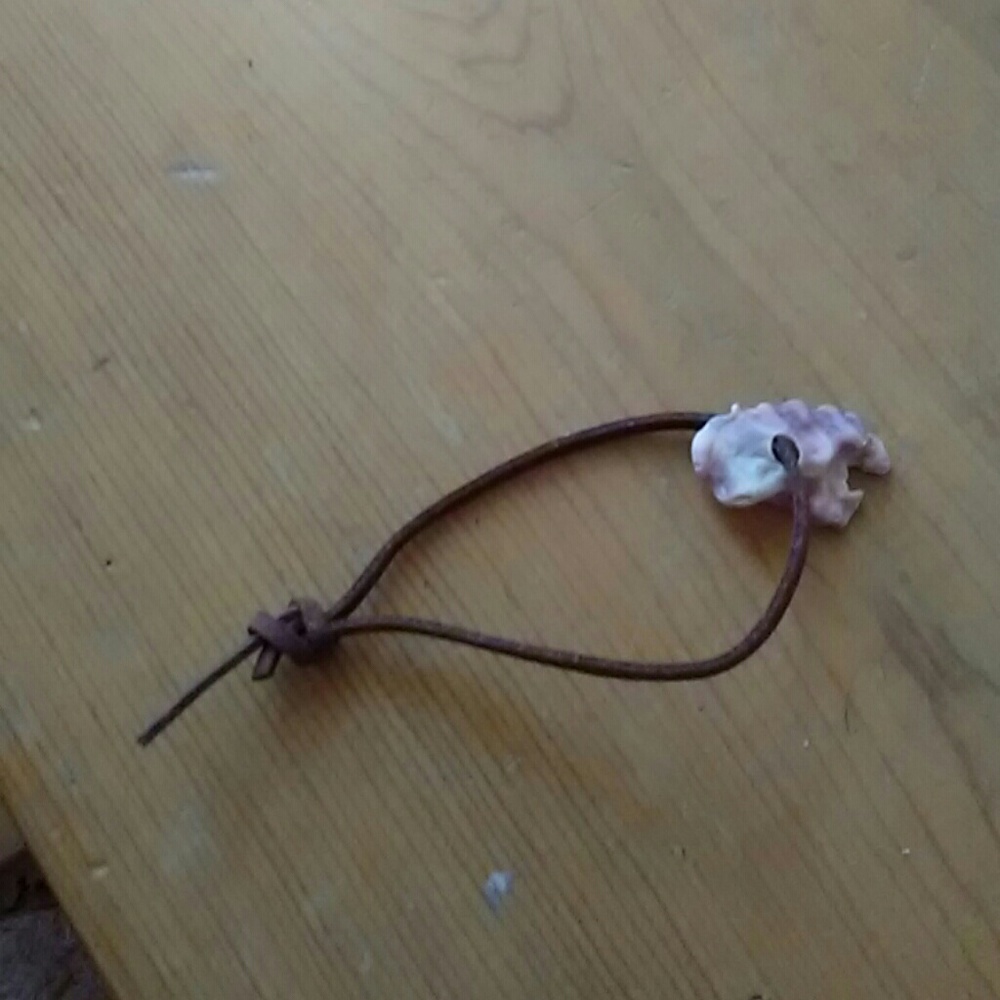 Shell bracelet