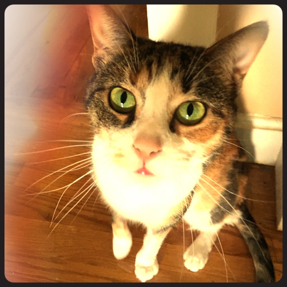 Meet your Posher, Val