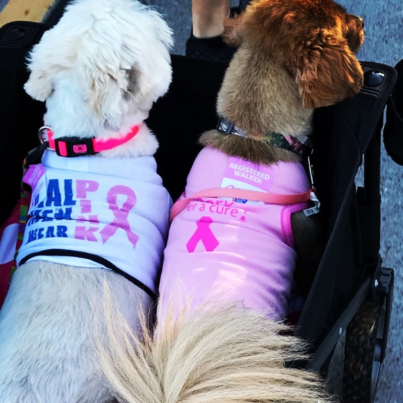 Meet your Posher, Chelsey Elizabeth Saylor - Picture 4 of 8