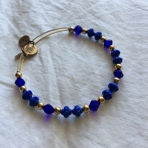 Alex & Ani Bangle✨