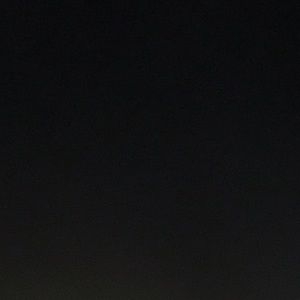 Meet your Posher, Maddi