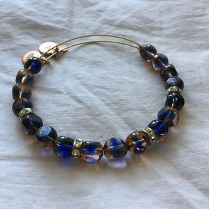 Alex & Ani Eden's Equinox Bangle✨