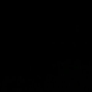 Meet your Posher, Javon