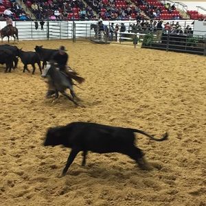 Meet your Posher, Giancarlos