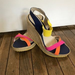 Colorful Wedges