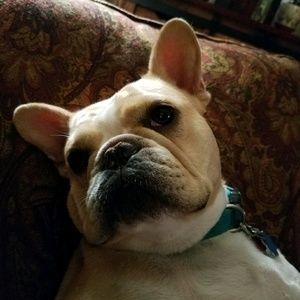 Meet your Posher, Deanna