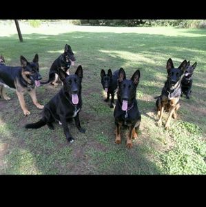 Meet your Posher, Casey