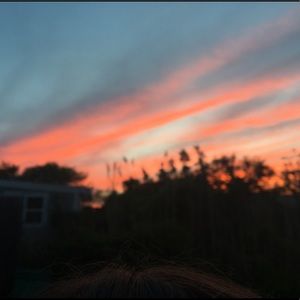 Meet your Posher, Josephine