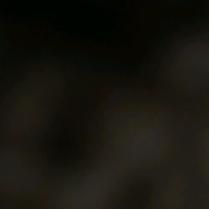 Meet your Posher, Kylee