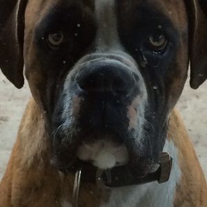 Meet your Posher, Elsa