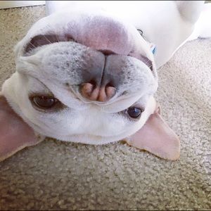 Meet your Posher, Aime