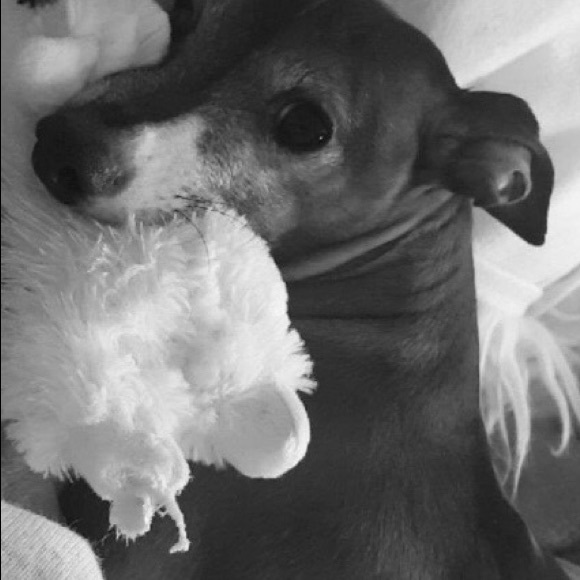 Meet your Posher, Jennifer - Picture 3 of 4