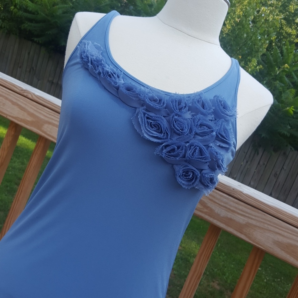 The Limited tank (M)