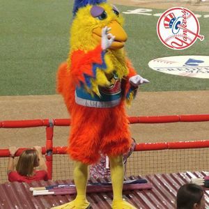 Meet your Posher, Will