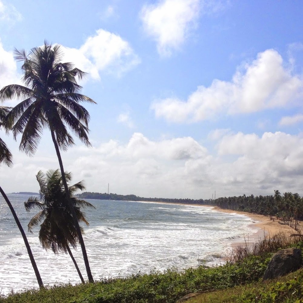 Meet your Posher, T.V.